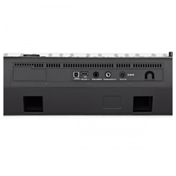 KORG PA300 keyboard